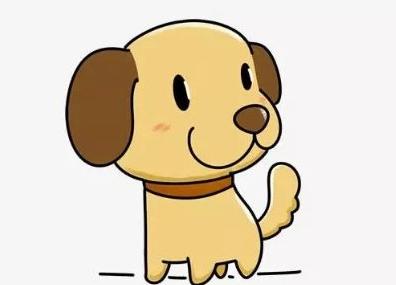 小狗“棉球” 商品图0