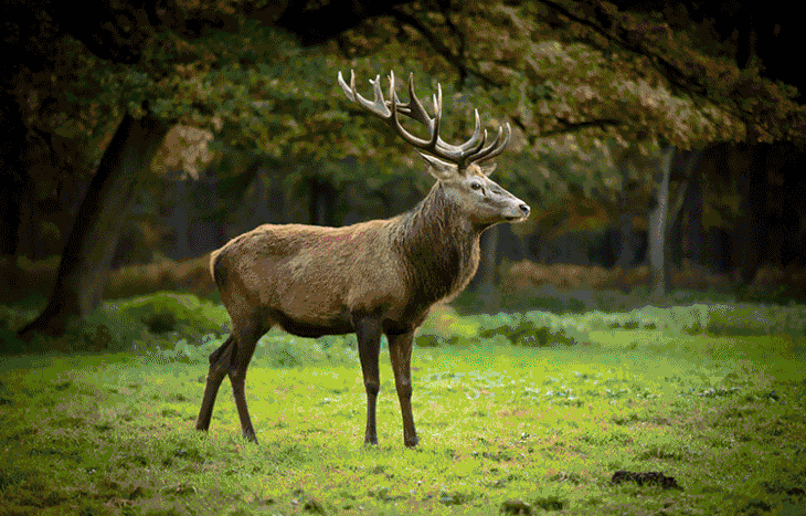 美丽中国cctv纪录片美丽中国同步图书全景式展现祖国山河