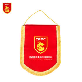 官方正品交换队旗