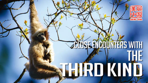 Saving China | 美丽中国 商品图0