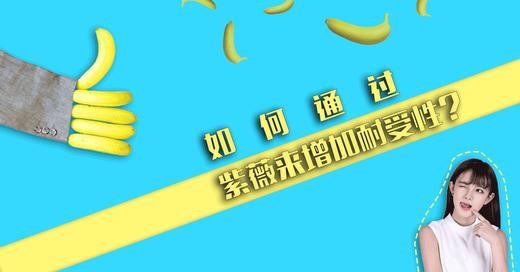 6耐受性 商品图0