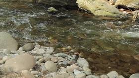 用热情去生活---云南维岛农场