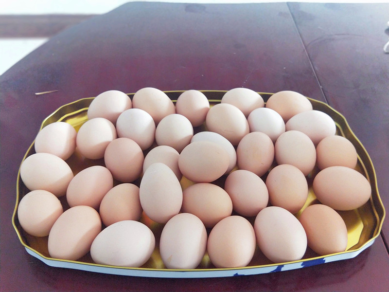 金伶俐土鸡蛋(100枚包邮)