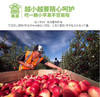 新西兰Rockit樱桃小苹果🍎——外形迷你，脆甜可口 商品缩略图12