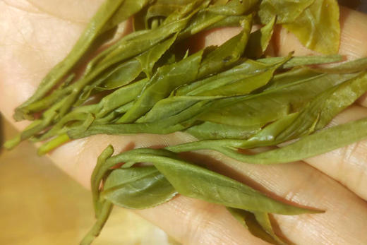 老班章2026-1000克-晒青绿茶 商品图1