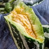 博洋9号玻璃脆甜瓜500g+ 商品缩略图6