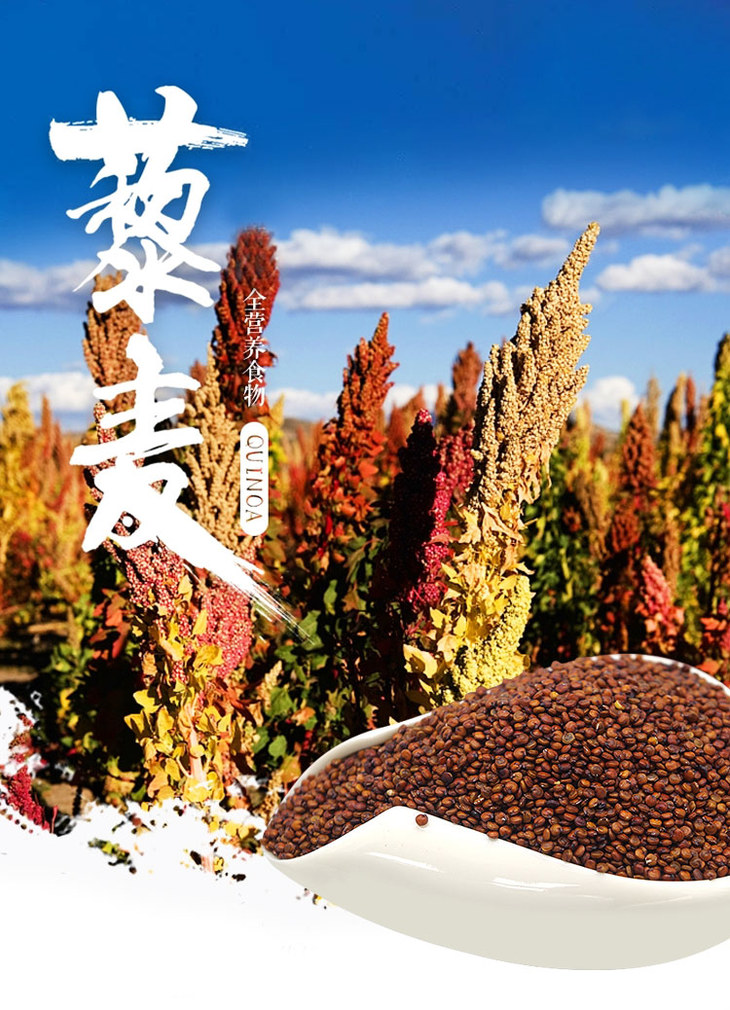 北大荒牧业沃农场红藜麦450g包邮