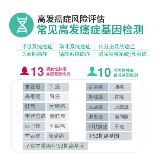 基因检测  基础套餐 商品图4