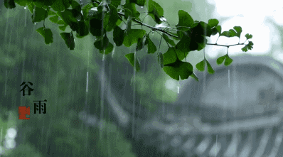 谷雨养生|搭上春季的末班车，给你谷雨最全的养肝、健脾去湿的食谱和小贴士~