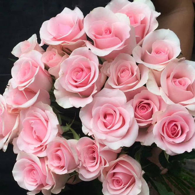 绿韵花田花材批发商城200511250909