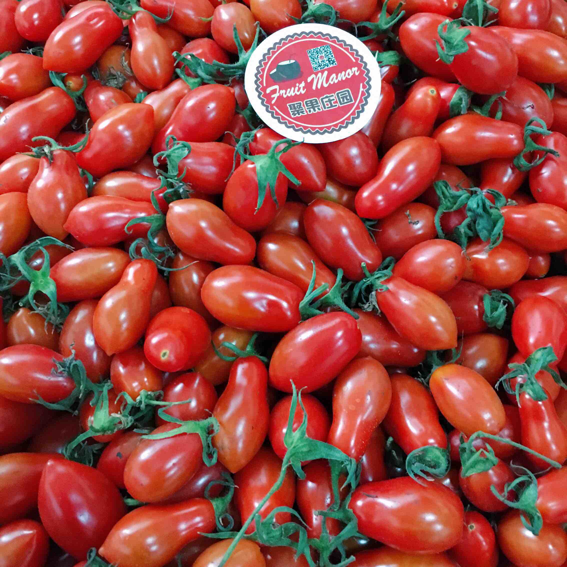 花生小柿子鲜如现摘选我就对了比普通千禧果更好吃且吃且珍惜女神必备