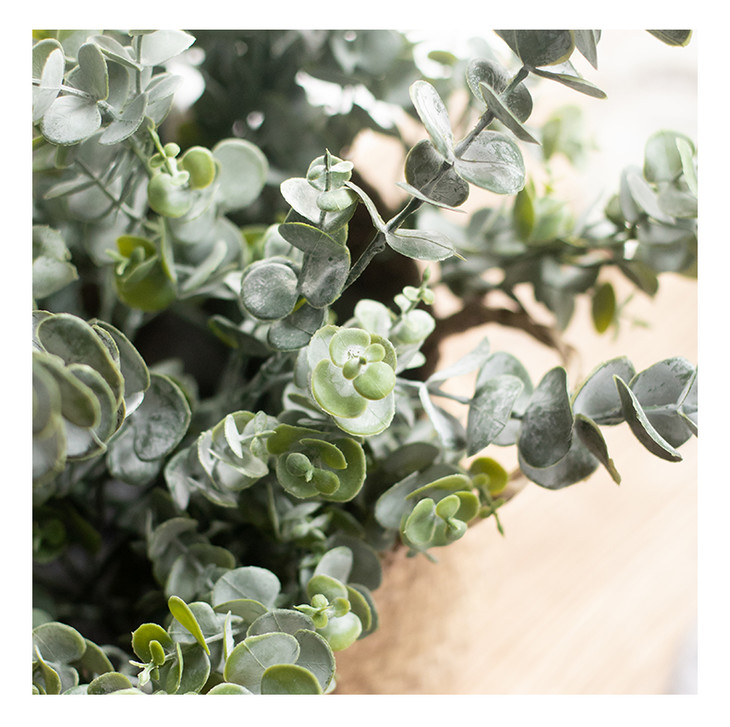 【0823软装专拍】 南十字星 软胶手感北欧风仿真尤加利枝 网红客厅