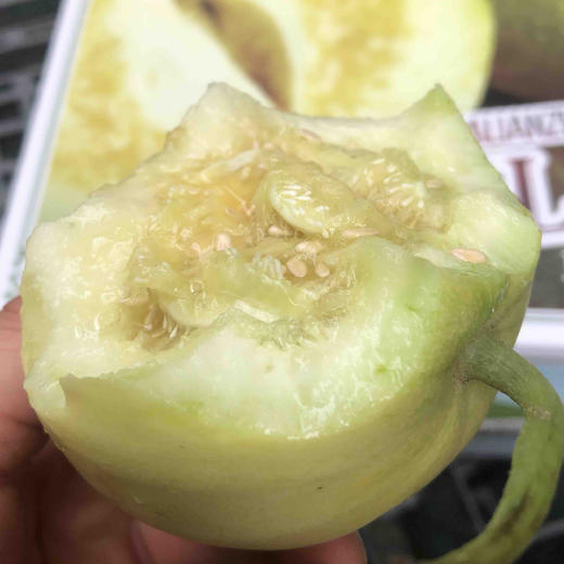 富硒蜜宝王#薄脆的皮,鲜嫩的肉,绵绵的籽,香甜的汁,又脆又甜,个头