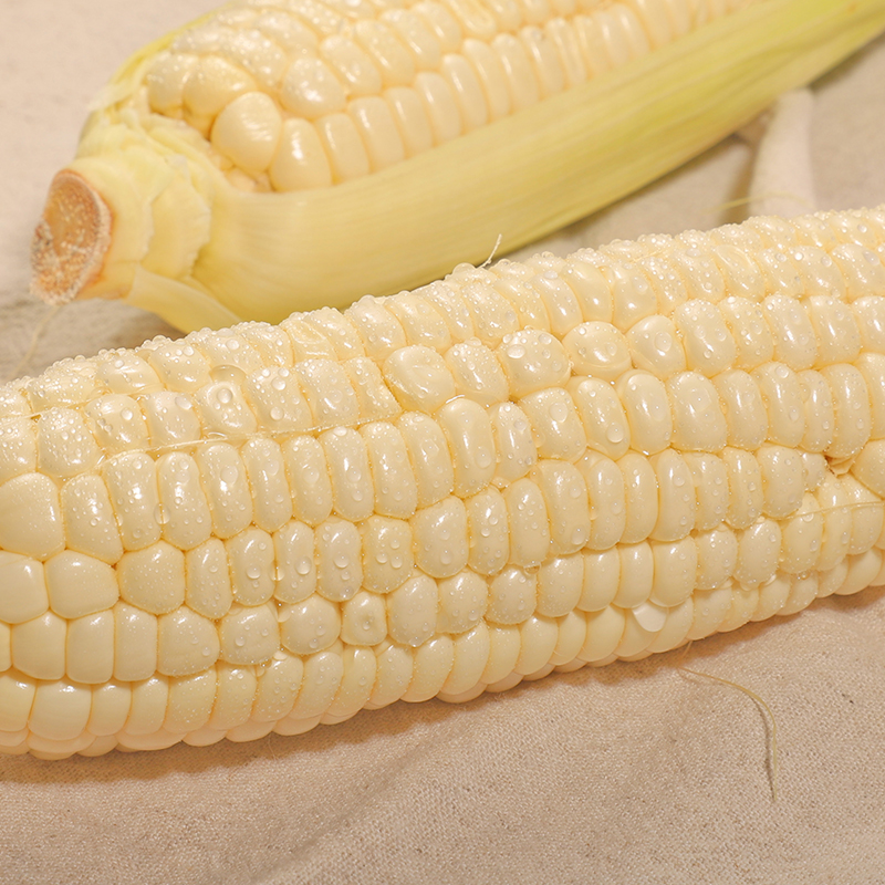 26发货 海南 牛奶玉米 可以生吃的水果玉米 奶香清甜 粒粒爽脆 仆通