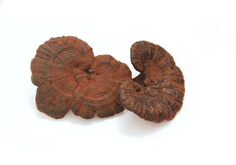 川农牛灵芝 商品图0