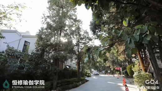 恒修环境视频60秒 商品图0