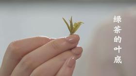 8、绿茶的叶底