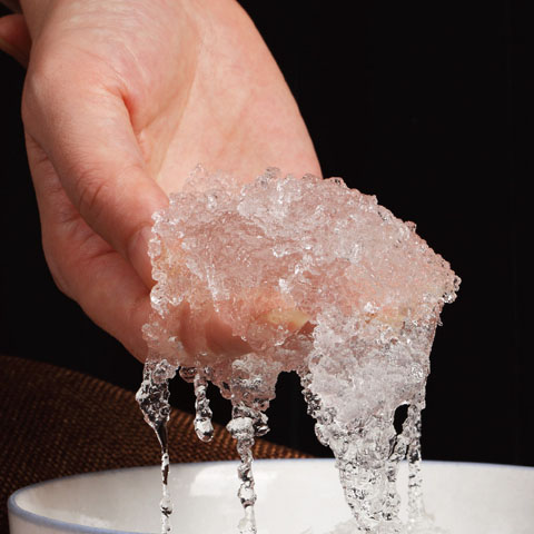 雪燕拉丝雪燕泡发后晶莹剔透与燕窝较像牛奶雪燕龙须雪燕鲜奶炖雪燕