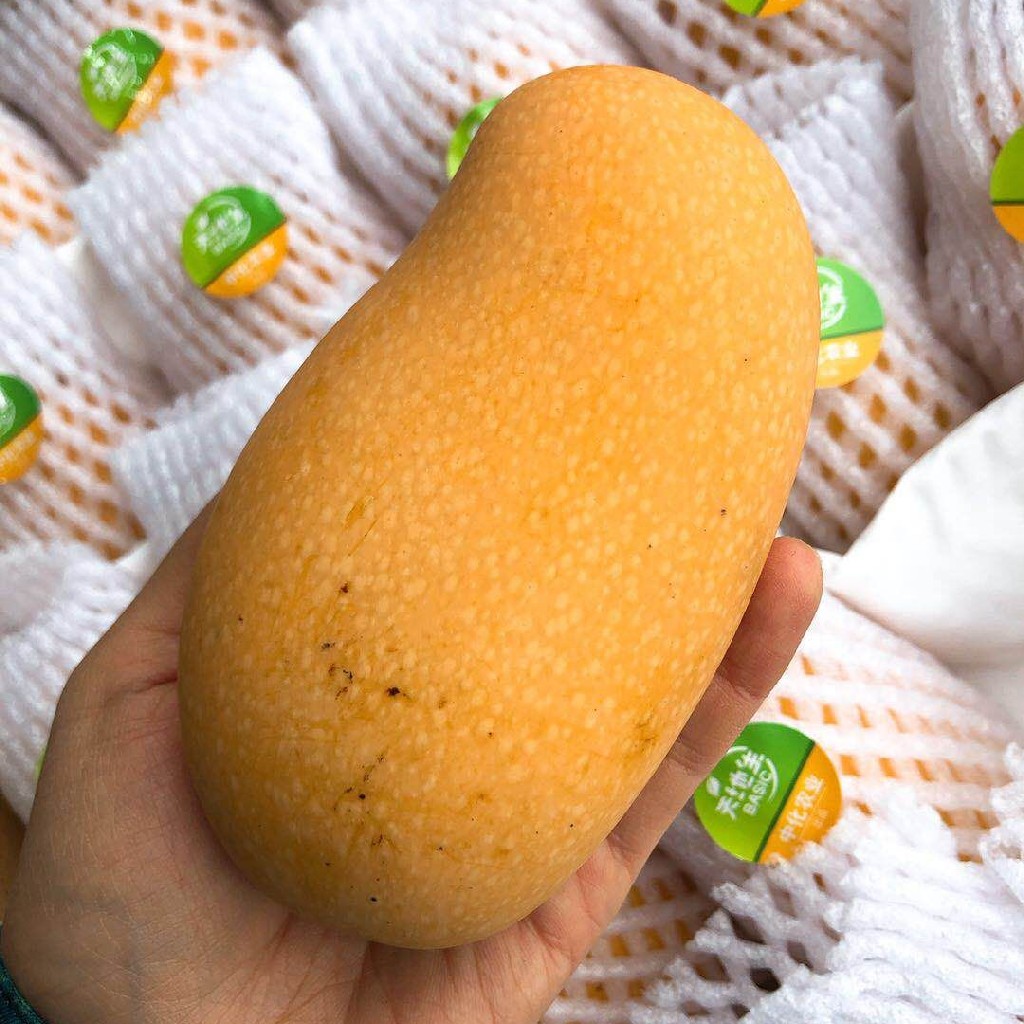 【嗨芒白玉芒果】5斤/箱超甜,水份超多,核薄.