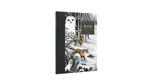 当有节奏的文字遇到会呼吸的画面 商品图0