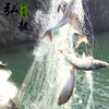 商品缩略图