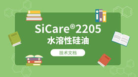 SiCare®2205 MSDS 产品技术文档（CN）