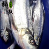 商品缩略图