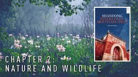 Shandong Guide 2: Nature and  Wildlife