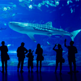 珠海长隆两日游推荐
