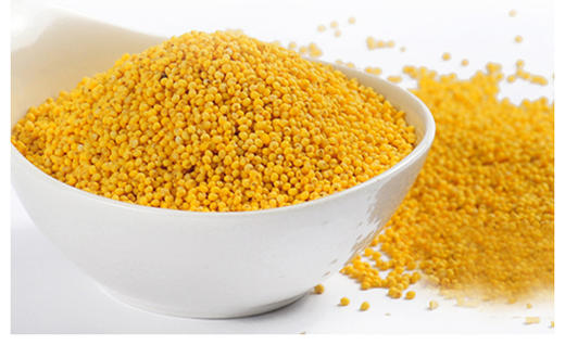 内蒙古高原蒙田有机小米 绿色健康高营养价值