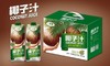 椰子汁 6L箱装涟水休闲饮料品 商品缩略图0