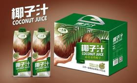 椰子汁 6L箱装涟水休闲饮料品
