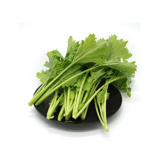 【载禾农业】高山蔬菜 香香菜 250g/份