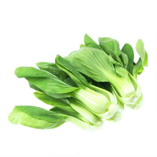 【载禾农业】高山蔬菜 瓢儿白 250g/份