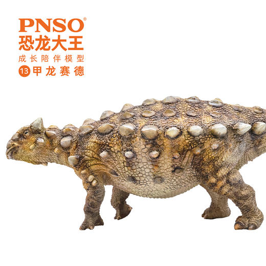 pnso甲龙赛德恐龙大王成长陪伴模型13