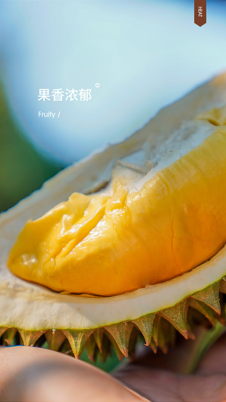 招牌泰国火山金枕榴莲58斤称重返差⑨成熟