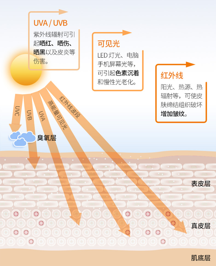 360°全光谱防晒丨抗氧化抗老化,皮肤医生推荐,荷丽可