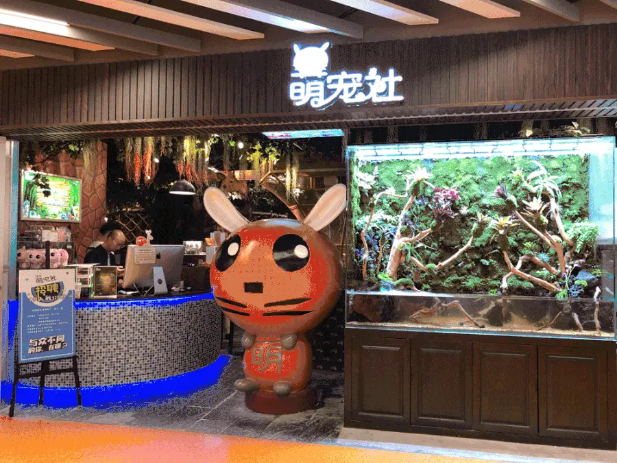 【上海】128元抢浦东金桥国际 | 【萌宠社】平日3次票，打卡开在商场里的动物乐园！