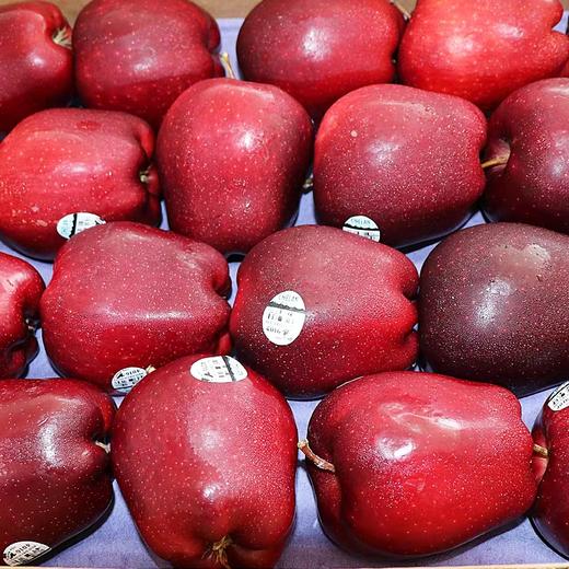 美国蛇果 - 蜜蜂邻居