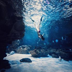 #绽放女孩#潜水女神-包子