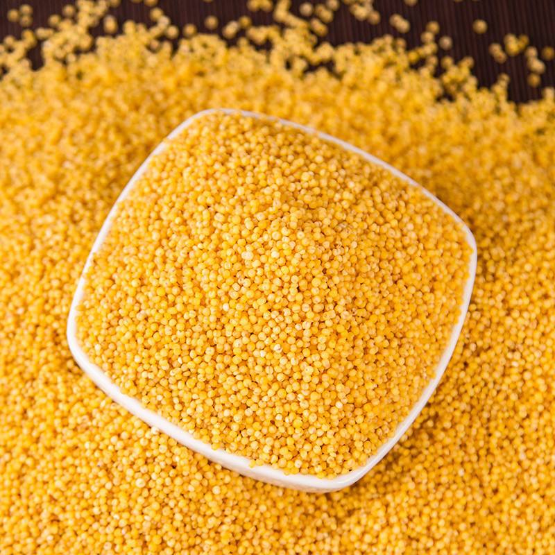 【鸣游特产 · 延安黄小米】色泽深黄,颗粒饱满/5斤装