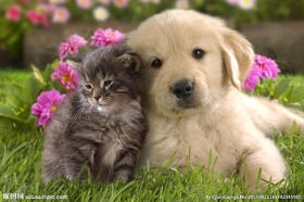 恩特上新测试嘤嘤嘤