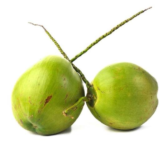 新鲜椰青 海南椰子 椰青带皮椰子文昌三亚 新鲜水果椰子 现摘 青椰子 商品图1