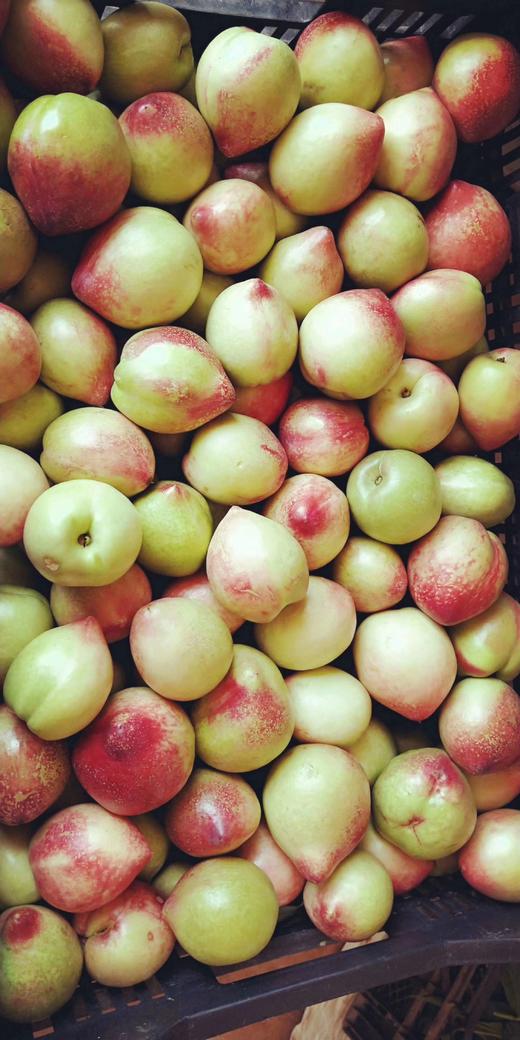 云南新鲜油桃 商品图3