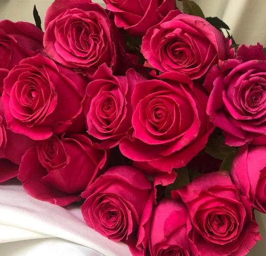 彩玫一扎20支 商品图3