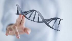 如何查看健康干预方案