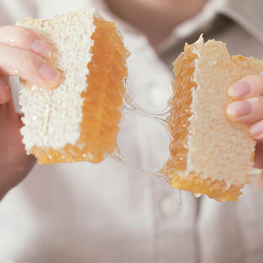 物本源·——蜂巢蜜320g 商品图1