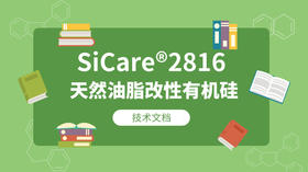 SiCare®2816 TDS 产品技术文档（CN）