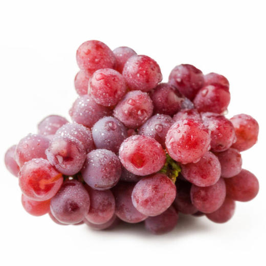 棒棒提（澳洲） 商品图1