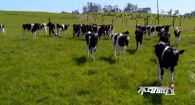 喝奶就是打预防针？！